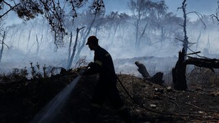Λαγουβάρδος: Δυσμενείς πυρομετεωρολογικές συνθήκες αυξάνουν τον κίνδυνο πυρκαγιών τα επόμενα 24ωρα