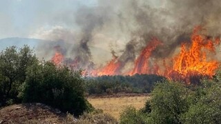ΕΕ: Υπερδιπλάσια του Λουξεμβούργου η έκταση που κάηκε φέτος στην Ευρώπη