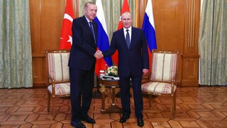 Ερντογάν-Πούτιν στο Σότσι: Ενίσχυση οικονομικής συνεργασίας και «νέα σελίδα» στις διμερείς σχέσεις