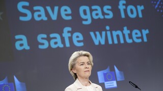 EE: Εγκρίθηκε η εθελοντική μείωση κατανάλωσης φυσικού αερίου - Τι προβλέπει ο Κανονισμός