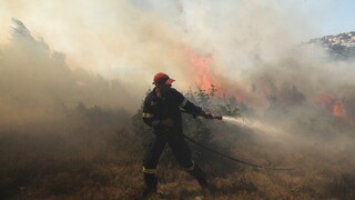 Φωτιά στην Εύβοια: Μάχη σε τρία μέτωπα στη Χαλκίδα - Πνίγεται από τον καπνό η πόλη
