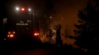 Φωτιές: Ολονύχτια μάχη στο Άγιο Όρος - Βελτιωμένη εικόνα στη Χαλκίδα
