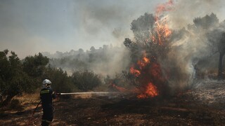 Κρήτη: Μία σύλληψη για φωτιά και τέσσερα πρόστιμα από την Πυροσβεστική