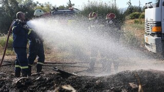 Μελτέμια και ξηρασία θέτουν σε επιφυλακή τον κρατικό μηχανισμό – 41 πυρκαγιές το τελευταίο 24ωρο