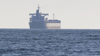 Τουρκία: Ακόμη δύο πλοία με δημητριακά απέπλευσαν από ουκρανικά λιμάνια
