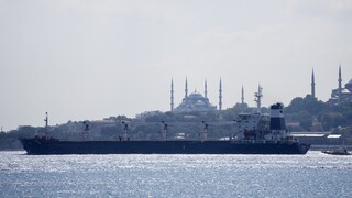 Επέστρεψε στην Τουρκία και με πλήρες φορτίο το πρώτο πλοίο με ουκρανικά σιτηρά