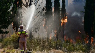 Συναγερμός για φωτιά στο Ωραιόκαστρο: Επί ποδός πυροσβεστικές δυνάμεις
