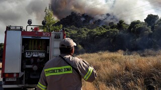 Φωτιά στη Ζάκυνθο: Καίει δασική έκταση - Εκκενώνονται τα Μεγάλα Αλώνια