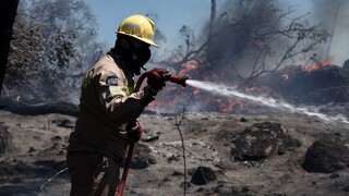 Μαίνεται η φωτιά στον Πύργο: Εκκενώθηκε προληπτικά το χωριό Σπιάντζα - Ένας πολίτης στο νοσοκομείο