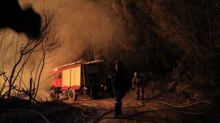 Φωτιά στη Θάσο: Συναγερμός στην Πυροσβεστική - Δεν απειλείται κατοικημένη περιοχή