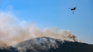 Σε ύφεση η φωτιά στη Θάσο - Υψηλός κίνδυνος πυρκαγιάς σε πέντε περιοχές την Παρασκευή