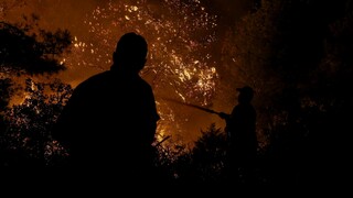 Σε ύφεση η φωτιά στη Θάσο: Σε επιφυλακή για δεύτερη νύχτα οι πυροσβεστικές δυνάμεις