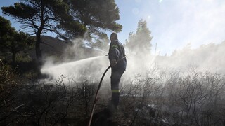 Λεχαινά: Πυροσβέστες βρήκαν αρχαιολογικά ευρήματα μετά από φωτιά