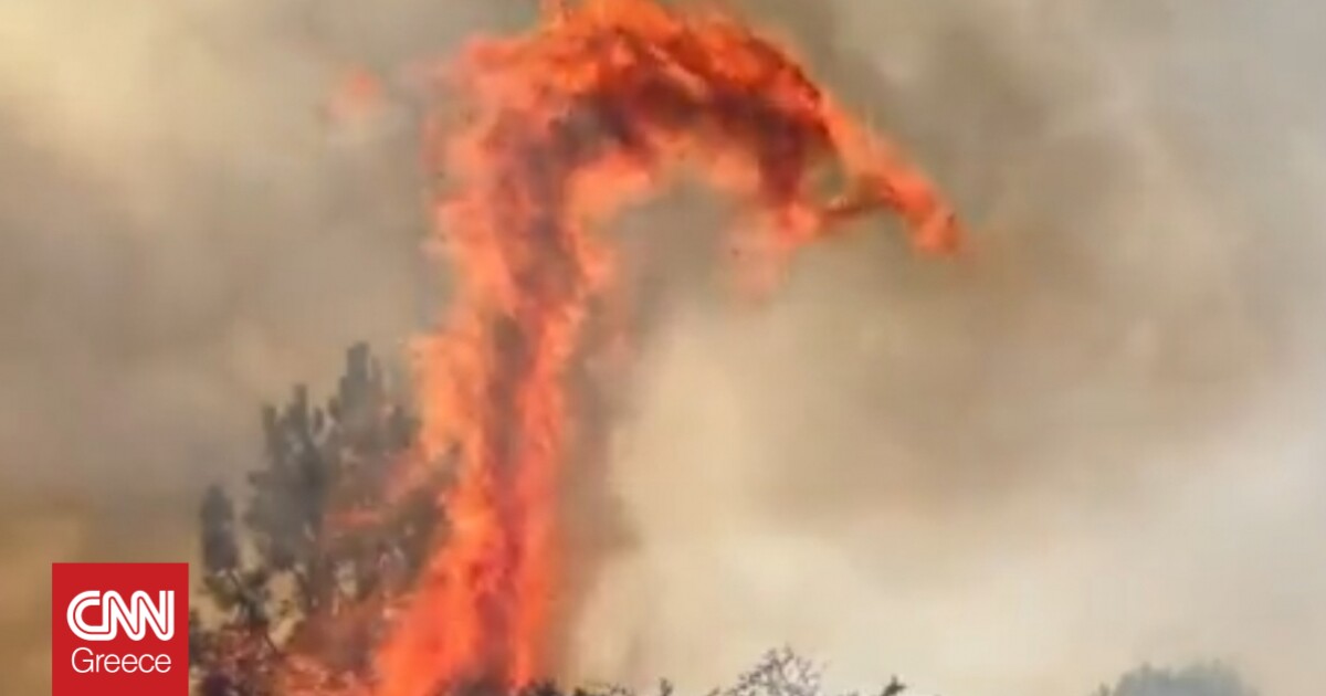Φωτιές στη Γαλλία: Προειδοποιήσεις για «δράκους από φωτιά» – Το ακραίο φαινόμενο λόγω ανέμων