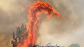 Φωτιές στη Γαλλία: Προειδοποιήσεις για «δράκους από φωτιά» - Το ακραίο φαινόμενο λόγω ανέμων