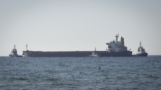 Δύο ακόμη πλοία με καλαμπόκι και ηλιόσπορους απέπλευσαν από την Ουκρανία