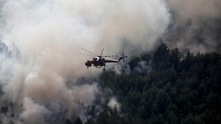 Τεράστια «μάχη» με τις φλόγες στη Θάσο - Συναγερμός για τη φωτιά σε πευκοδάσος της Κρήτης