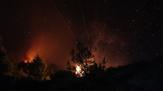 Δύσκολη νύχτα στη Θάσο - Οριοθετήθηκε η φωτιά στη Βιάννο Κρήτης