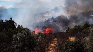 Οριοθετήθηκε η φωτιά στην Αργολίδα - 51 δασικές πυρκαγιές το τελευταίο 24ωρο