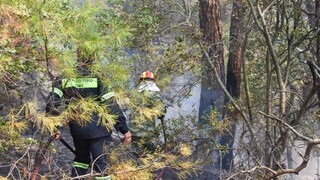 Υψηλός κίνδυνος φωτιάς την Πέμπτη σε 13 περιοχές - 35 δασικές πυρκαγιές το τελευταίο 24ωρο