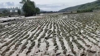 Κίνα: Εθνική προειδοποίηση για ξηρασία - Προσπάθειες να σωθούν οι καλλιέργειες από το κύμα καύσωνα