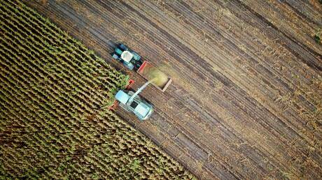 Πώς η βιώσιμη γεωργία μπορεί να ωφελήσει τον πλανήτη - Δείτε το explainer video του Act for Earth