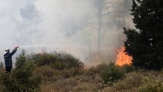 Φωτιά στο Σέιχ Σου στη Θεσσαλονίκη: Μεγάλη κινητοποίηση της Πυροσβεστικής