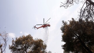 Οριοθετήθηκε η πυρκαγιά στο Σέιχ Σου - Φωτιά και στην Κορινθία