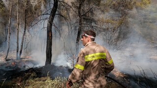 Κέρκυρα: Πυρκαγιά στην περιοχή Κουραμαδίτικα - Εκκενώνεται ο οικισμός Βασιλικά