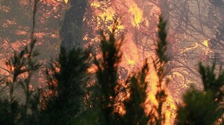 Κίνα: Mαίνονται οι δασικές πυρκαγιές - Ελπίδα οι βροχοπτώσεις που αναμένονται τις επόμενες ημέρες