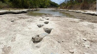 Τέξας: Μοναδικό εύρημα σε κοίτη ποταμού αποκάλυψε η ξηρασία - Βρέθηκαν ίχνη δεινοσαύρων
