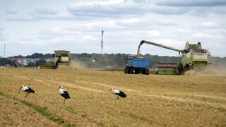 Ουκρανία: Οι εξαγωγές σιτηρών θα φτάσουν -μάλλον- σε προπολεμικά επίπεδα τον Αύγουστο