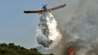 Φωτιά στη Αχαΐα: Ισχυρή δύναμη της Πυροσβεστικής στις Κάτω Βελιτσές