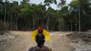 Βραζιλία: Ο τελευταίος των Ταναρού είναι νεκρός