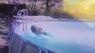 Ένας μικρός ήρωας: 10χρονος βουτάει στην πισίνα και σώζει τη μητέρα του από πνιγμό