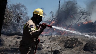 Φωτιά στην Κεφαλονιά, επιχειρούν δυνάμεις της πυροσβεστικής
