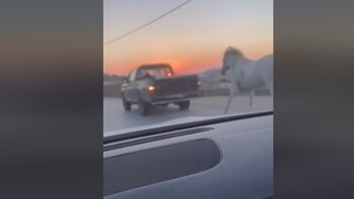 Μύκονος: Αναζητείται οδηγός που έδεσε άλογο σε κινούμενο αγροτικό