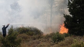 Φωτιές σε Αχαΐα και Μεσσηνία: Ισχυρές πυροσβεστικές δυνάμεις στα δύο μέτωπα