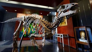 Ένας δεινόσαυρος για... σαλόνι: Δημοπρατείται ο σκελετός του στο Παρίσι - Έχει 3 μέτρα μήκος