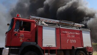 Πύργος: Πυρκαγιά σε βαλτώδη περιοχή στην Σπιάντζα - Κινητοποίηση από την Πυροσβεστική