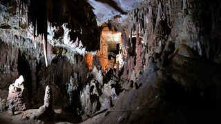 Χαλκιδική: Πιο σύγχρονο και ασφαλές το Σπήλαιο των Πετραλώνων - Λύνεται το μυστήριο του Αρχανθρώπου