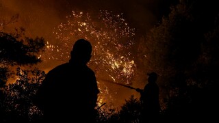 Φωτιά στη Μάνη: Μεγάλη κινητοποίηση της Πυροσβεστικής