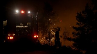Συναγερμός στην πυροσβεστική: Δύο μέτωπα φωτιάς στην Κεφαλονιά