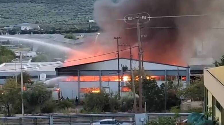 Φωτιά στο Βόλο: Κάηκε ολοσχερώς το εργοστάσιο - Ολονύχτια η μάχη με τις φλόγες