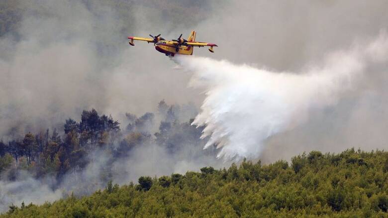 Φωτιά στον Μαραθώνα: Καίει σε δασική έκταση - Επί ποδός η Πυροσβεστική