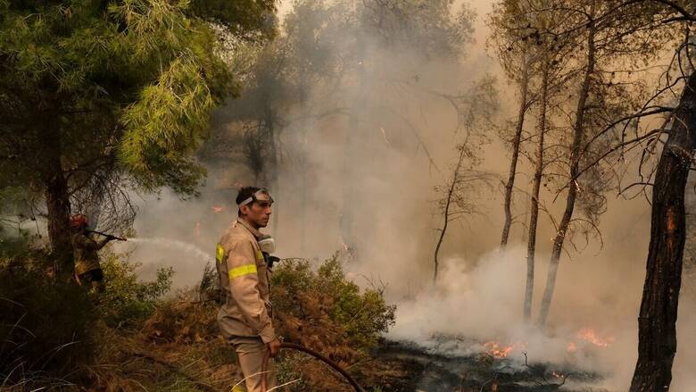 Οριοθετήθηκε η φωτιά στον Μαραθώνα: Παραμένουν στην περιοχή οι πυροσβεστικές δυνάμεις