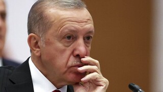 Οργή στην Τουρκία: «Αρουραίο των υπονόμων» αποκάλεσε τον Ερντογάν Γερμανός πολιτικός