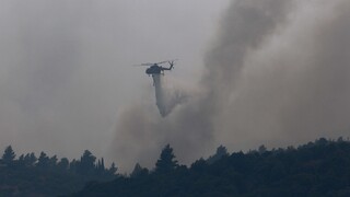 Πύργος: Υπό μερικό έλεγχο τέθηκε η φωτιά στη Σπιάντζα Ηλείας