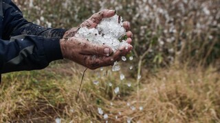 Σφοδρή χαλαζόπτωση σε Καστοριά και Πρέσπα: Καταστράφηκαν καλλιέργειες