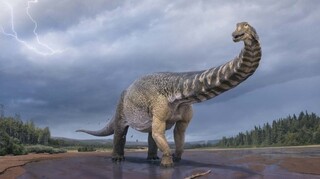 Ο αστεροειδής που εξαφάνισε τους δεινόσαυρους προκάλεσε παγκόσμιο τσουνάμι αρχικού ύψους 1.500 μ.